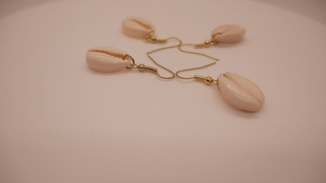 Cowrie shell Earrings